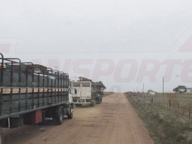 Transporte_de_hacienda_Uruguay_2