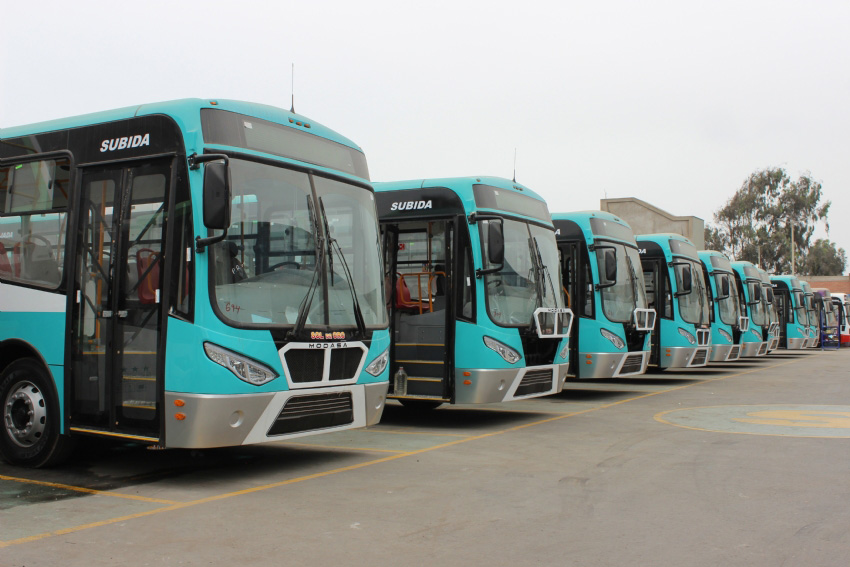 Volkswagen conmemora récord histórico de exportaciones de autobuses