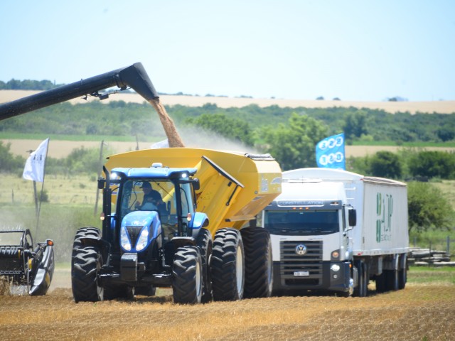 Se inauguró de la cosecha del trigo en Dolores